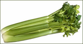 celery and bones